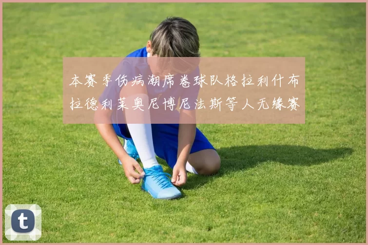 本赛季伤病潮席卷球队格拉利什布拉德利莱奥尼博尼法斯等人无缘赛季余下比赛